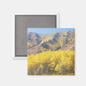 USA, Utah, Wasatch-Cache Nationalforst, Magnet (Vorderseite/Rückseite)