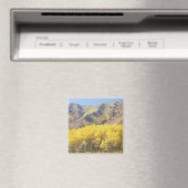 USA, Utah, Wasatch-Cache Nationalforst, Magnet (In Situ (Geschirrspüler))