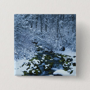 USA, Utah, Wasatch-Catch National Forest, Button