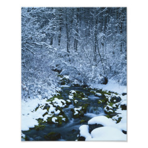 USA, Utah, Wasatch Catch National Forest, Fotodruck