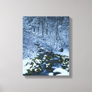 USA, Utah, Wasatch-Catch National Forest, Leinwanddruck