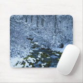 USA, Utah, Wasatch-Catch National Forest, Mousepad (Mit Mouse)