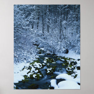 USA, Utah, Wasatch-Catch National Forest, Poster