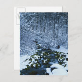 USA, Utah, Wasatch Catch National Forest, Postkarte (Vorne/Hinten)