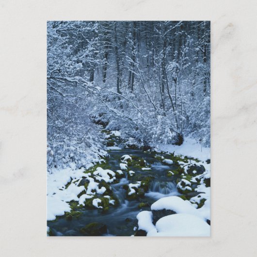 USA, Utah, Wasatch Catch National Forest, Postkarte (Vorderseite)