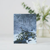 USA, Utah, Wasatch Catch National Forest, Postkarte (Stehend Vorderseite)