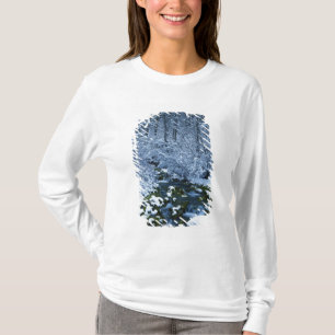 USA, Utah, Wasatch-Catch National Forest, T-Shirt