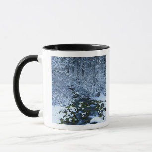USA, Utah, Wasatch-Catch National Forest, Tasse