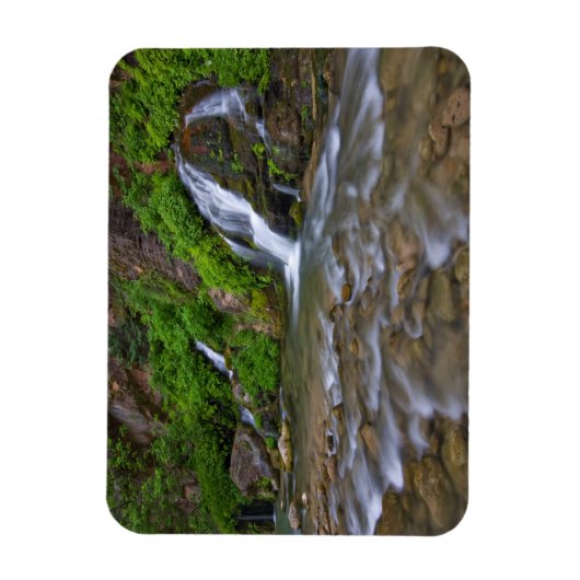 USA, Utah, Zion National Park. Big Springs in Magnet (Vertikal)