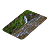 USA, Utah, Zion National Park. Big Springs in Magnet (Linke Seite)