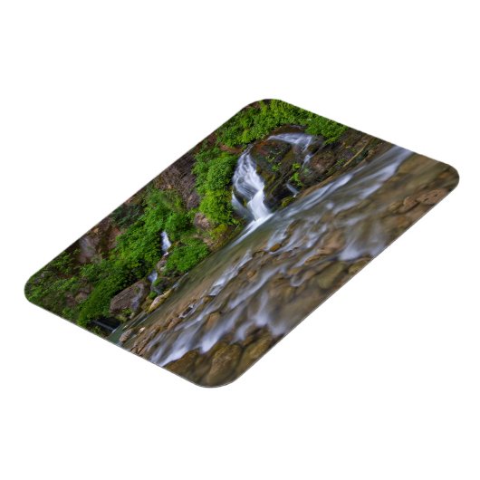 USA, Utah, Zion National Park. Big Springs in Magnet (Linke Seite)