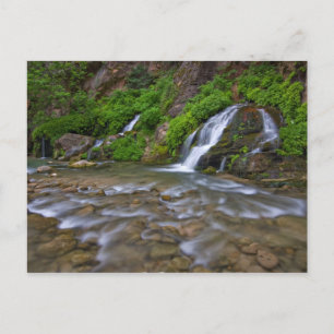 USA, Utah, Zion National Park. Big Springs in Postkarte