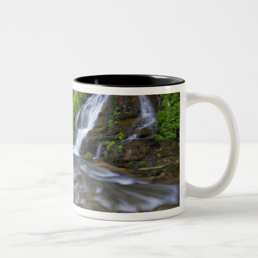USA, Utah, Zion National Park.  Big Springs Zweifarbige Tasse (Rechts)
