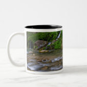 USA, Utah, Zion National Park.  Big Springs Zweifarbige Tasse (Links)