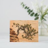 USA, Utah, Zion National Park. Kiefernbaum Postkarte (Stehend Vorderseite)
