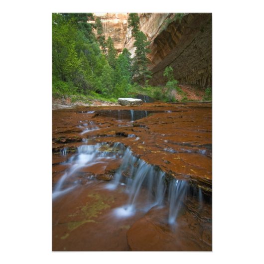 USA, Utah, Zion National Park. Landschaftlich ab 2 Fotodruck (Vorne)