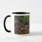 USA, Utah, Zion National Park. Landschaftlich ab 4 Tasse (Links)