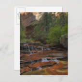 USA, Utah, Zion National Park. Landschaftlich aus  Postkarte (Vorne/Hinten)
