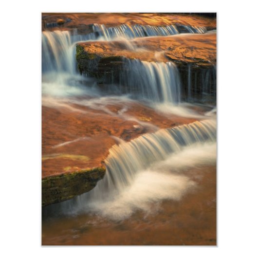 USA, Utah, Zion National Park. Landschaftlich Fotodruck (Vorne)