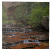 USA, Utah, Zion National Park. Landschaftlich vom Fliese (Vorderseite)