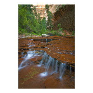 USA, Utah, Zion National Park. Landschaftlich von Fotodruck