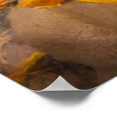 USA, Utah, Zion National Park. Sentinel 1 Poster (Ecke)