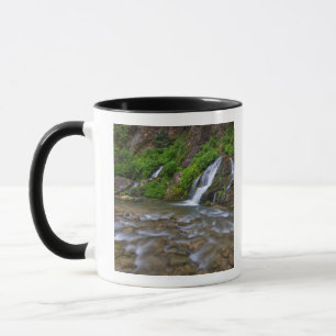 USA, Utah, Zion-Nationalpark. Big Springs in Tasse