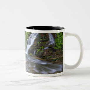 USA, Utah, Zion-Nationalpark. Big Springs in Zweifarbige Tasse
