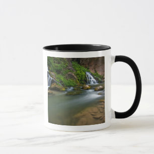 USA, Utah, Zion-Nationalpark. Der Virgin Tasse