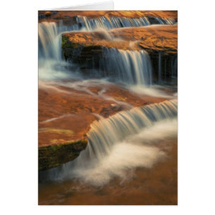 USA, Utah, Zion-Nationalpark. Landschaftlich von 2