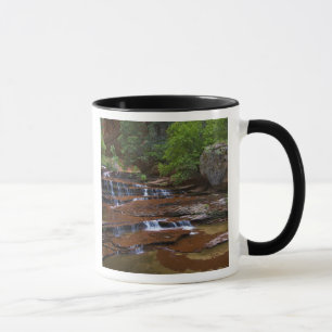 USA, Utah, Zion-Nationalpark. Landschaftlich von 4 Tasse