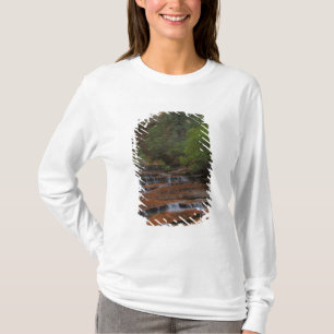 USA, Utah, Zion-Nationalpark. Landschaftlich von T-Shirt
