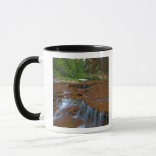 USA, Utah, Zion-Nationalpark. Landschaftlich von Tasse