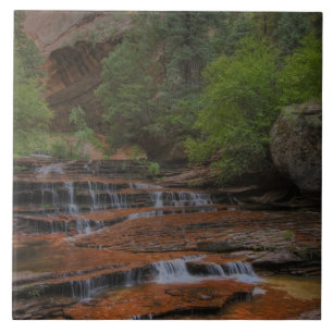 USA, Utah, Zion-Nationalpark.  Malerisch von der Fliese
