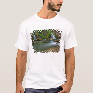 USA, Utah, Zion-Nationalpark. The Virgin T-Shirt