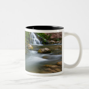 USA, Utah, Zion-Nationalpark. The Virgin Zweifarbige Tasse