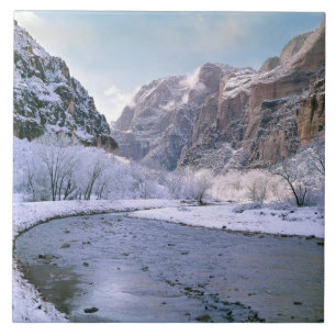 USA, Utah, Zion NP. Neuer Schnee bedeckt den Canyo Fliese