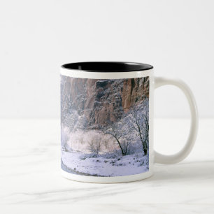 USA, Utah, Zion NP. Neuschnee bedeckt Canyon Zweifarbige Tasse