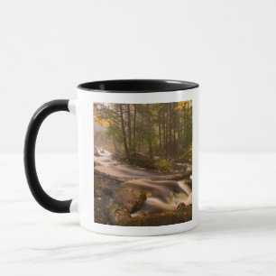 USA, Vermont, East Arlington, Fließende Bäche 2 Tasse
