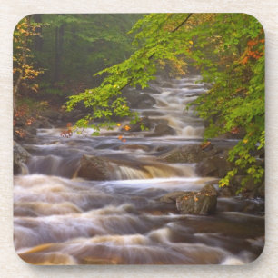 USA, Vermont, East Arlington, Fließende Bäche Untersetzer