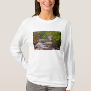 USA, Vermont, East Arlington, Wasserläufe T-Shirt