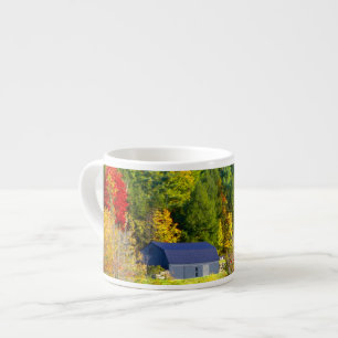 USA, Vermont. Herbstlaub entlang der Highway 100. Espressotasse