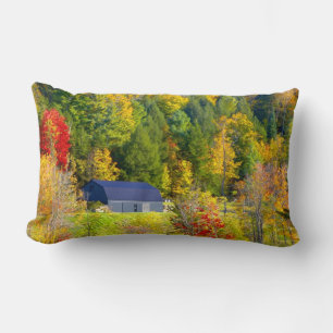 USA, Vermont. Herbstlaub entlang der Highway 100. Lendenkissen