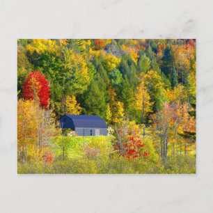 USA, Vermont. Herbstlaub entlang der Highway 100. Postkarte