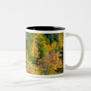 USA, Vermont. Herbstlaub entlang der Highway 100. Zweifarbige Tasse