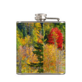 USA, Vermont. Herbstwald entlang der Autobahn 100. Flachmann (Rückseite)