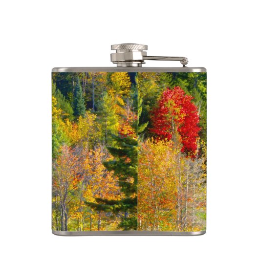 USA, Vermont. Herbstwald entlang der Autobahn 100. Flachmann (Rückseite)