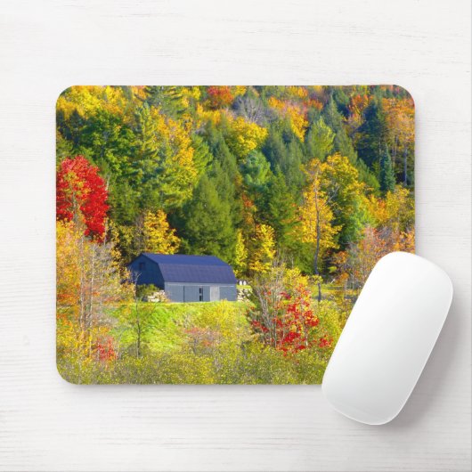 USA, Vermont. Herbstwald entlang der Autobahn 100. Mousepad (Mit Mouse)