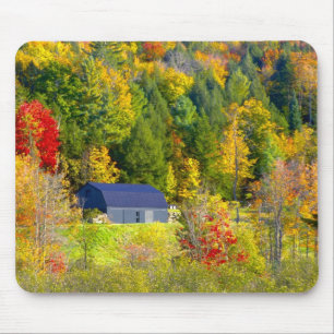 USA, Vermont. Herbstwald entlang der Autobahn 100. Mousepad