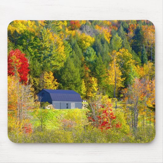 USA, Vermont. Herbstwald entlang der Autobahn 100. Mousepad (Vorne)